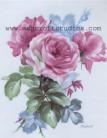 Heirloom Roses (Pink)