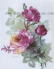 Heirloom Roses (Ruby)