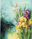 English Iris with Kingfisher